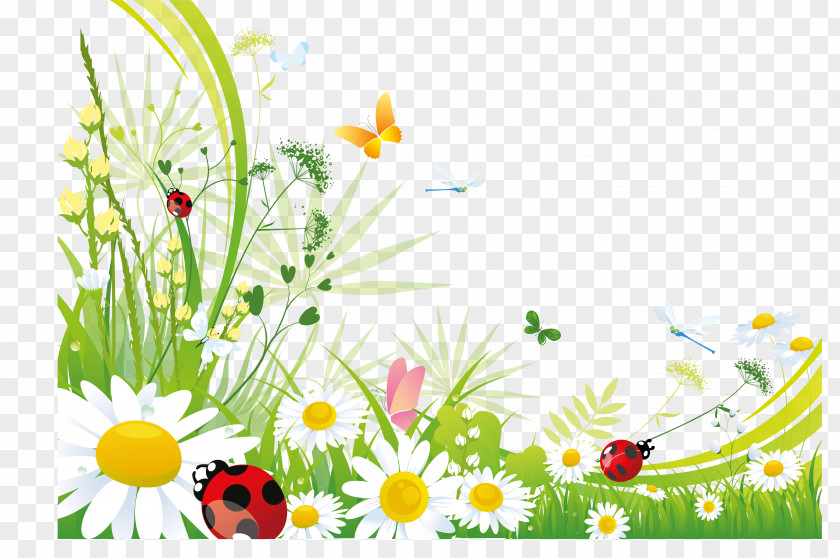 Chamomile Butterfly Desktop Wallpaper Clip Art PNG