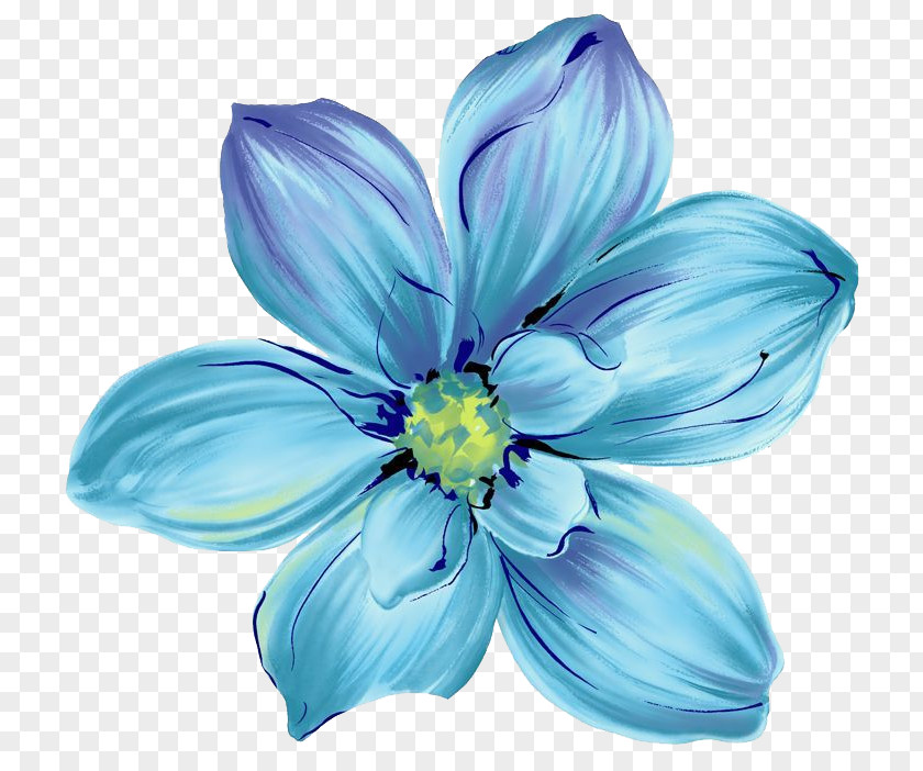 Cosmos Flowers Blue Flower Floral Design Petal PNG