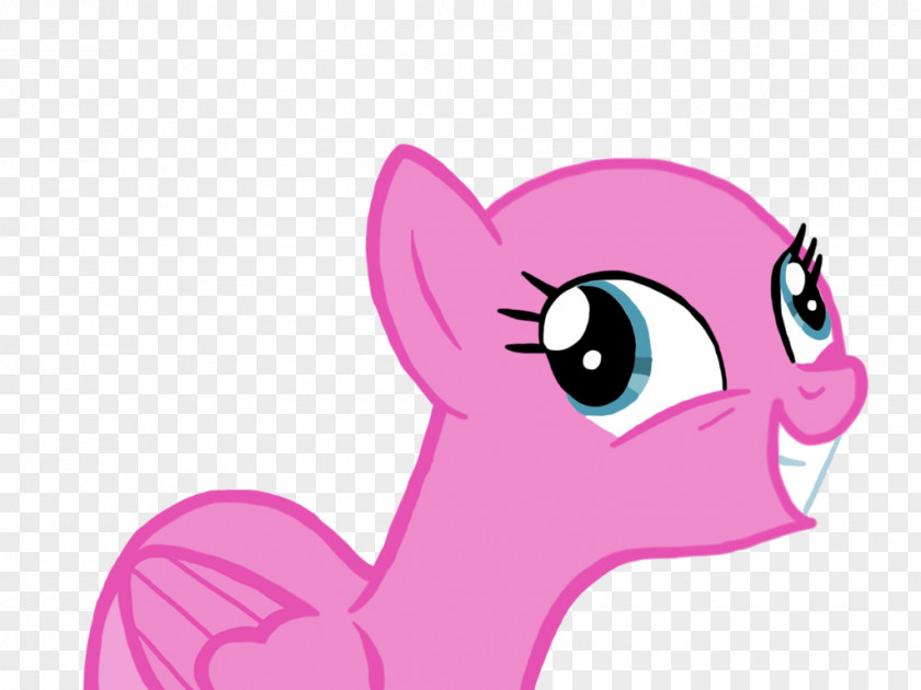 My Little Pony Whiskers Fluttershy Horse PNG