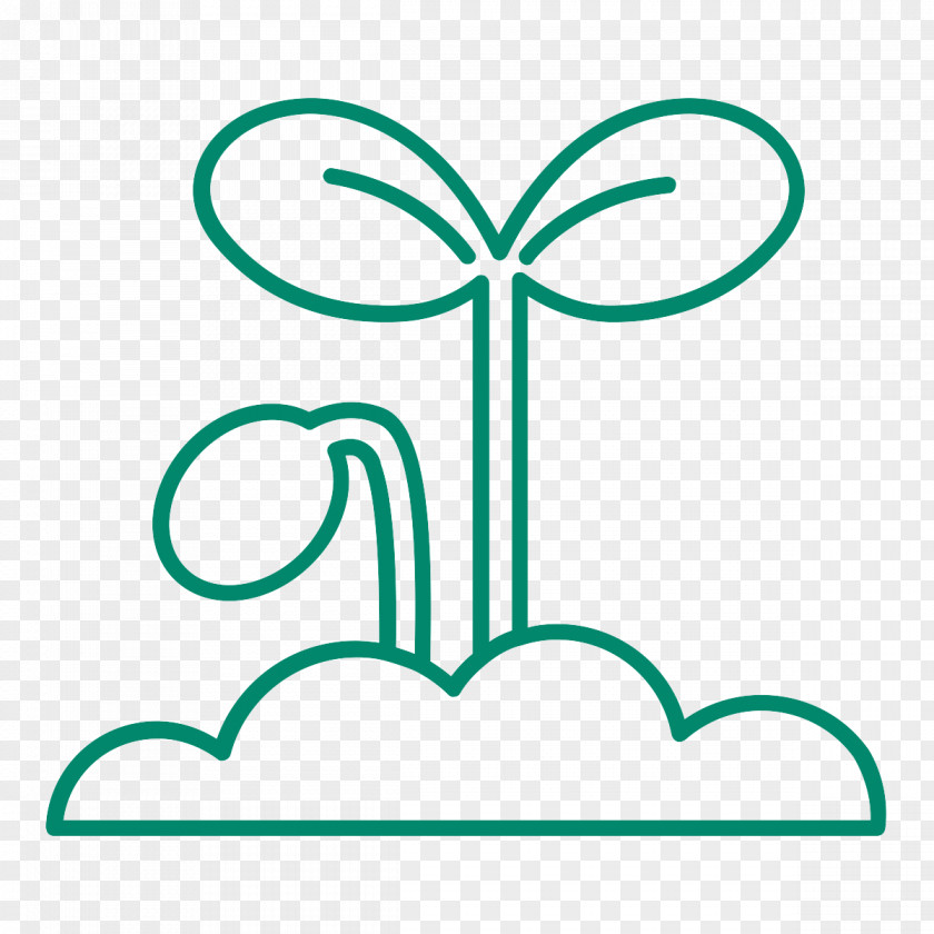 Sprouting Shoot Seed Clip Art PNG