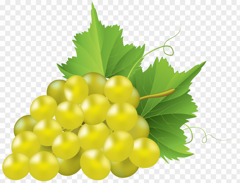 White Grape Transparent Clip Art Image Chardonnay Pie Common Vine PNG