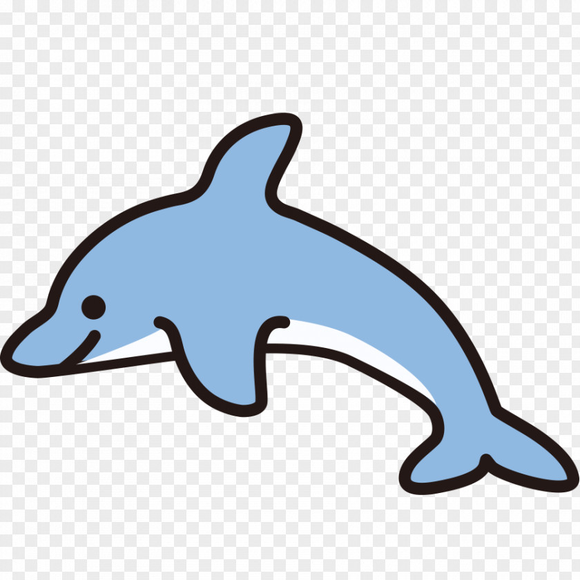 Dolphin Common Bottlenose Tucuxi Short-beaked Rough-toothed Porpoise PNG