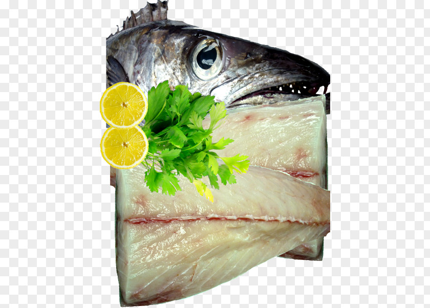Hoki Fillet Kipper Sashimi Seafood Fish Soused Herring PNG