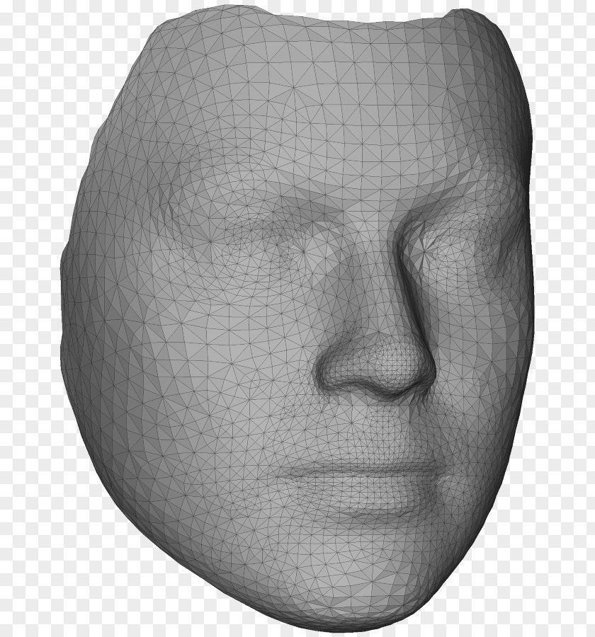 Nose Face Polygon Mesh 3D Modeling Three-dimensional Space PNG