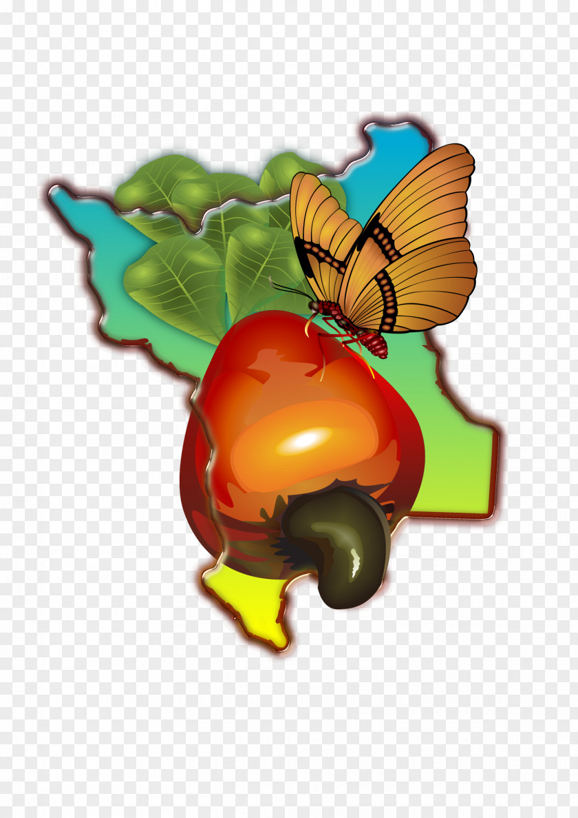 Pomegranate M. Butterfly Insect Pollinator Food PNG