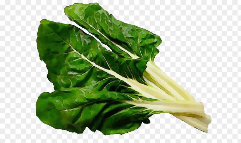 Tatsoi Spinach Leaf Vegetable Chard Food PNG