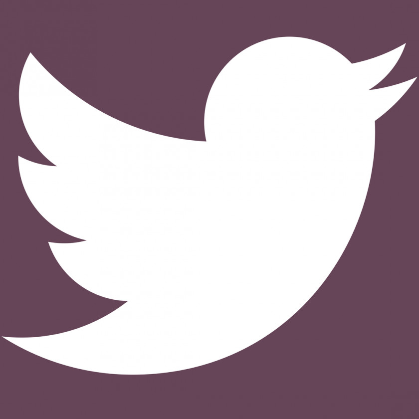 Twitter Social Media Logo Instagram Blog PNG