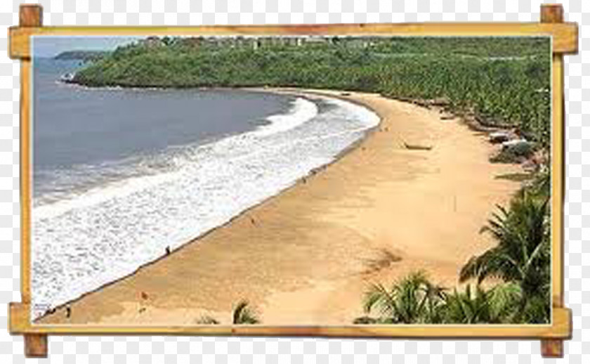 BEACH GOA Shore Goa Beach PNG