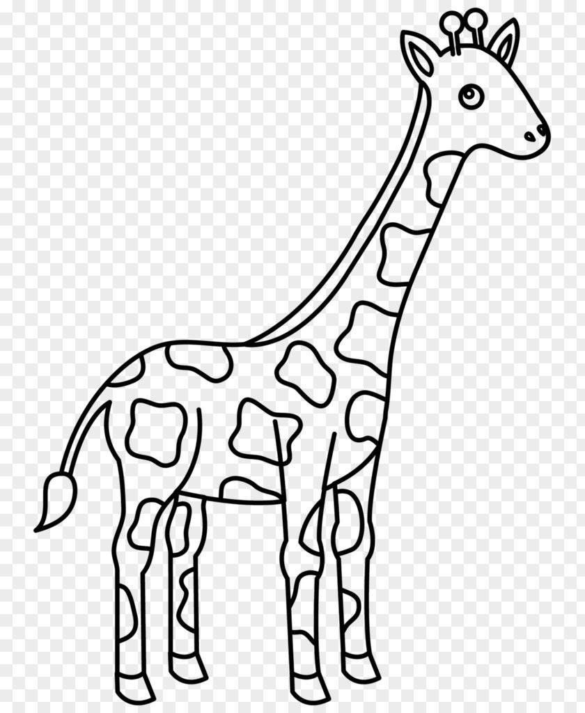 Giraffe Family Coloring Book PNG