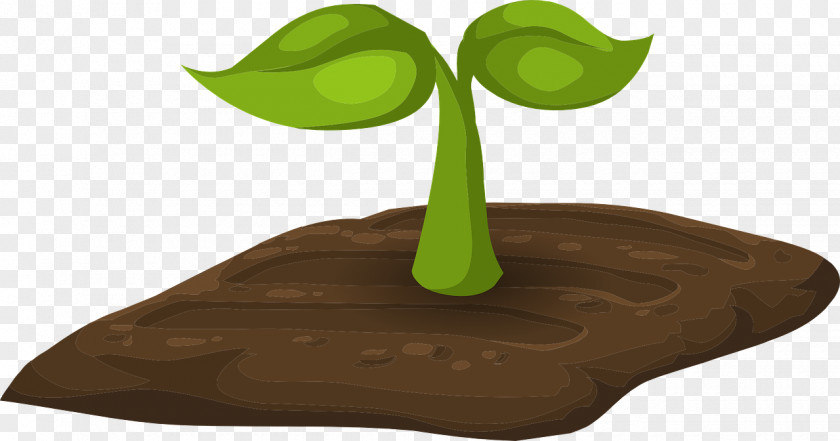 Small Plants Soil Clip Art PNG