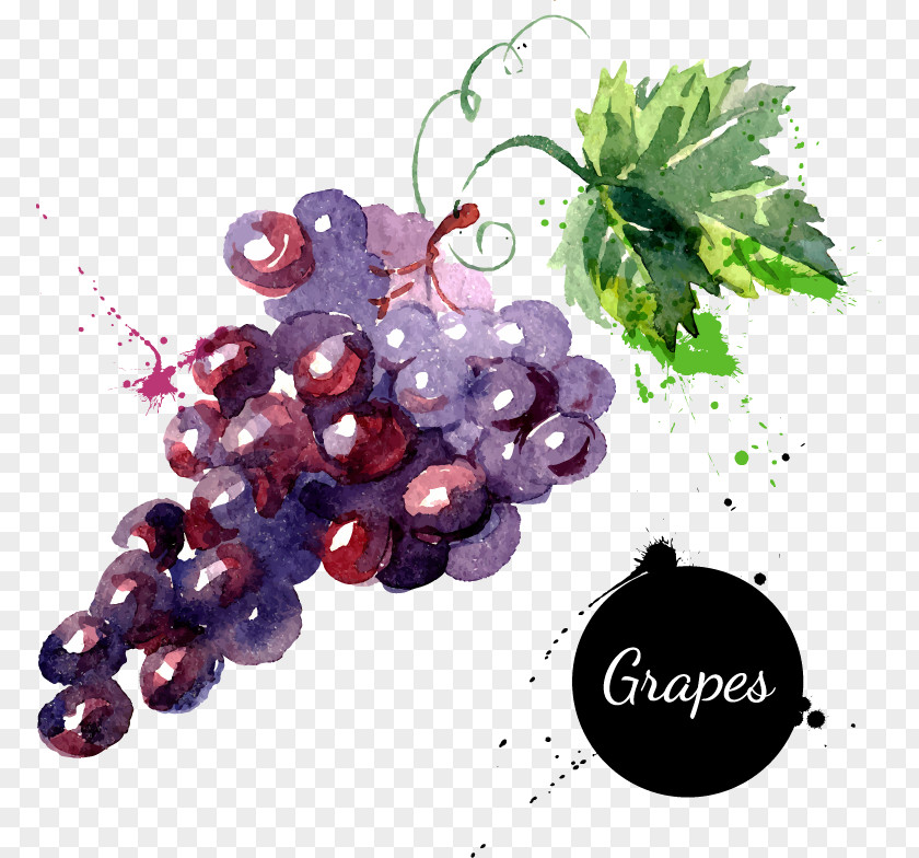 Cartoon Fruit Grapes Hand-painted Watercolor Grape Painting Drawing Royalty-free PNG