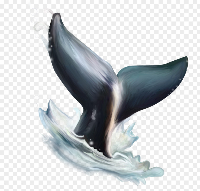 Dolphin Figurine Beak PNG