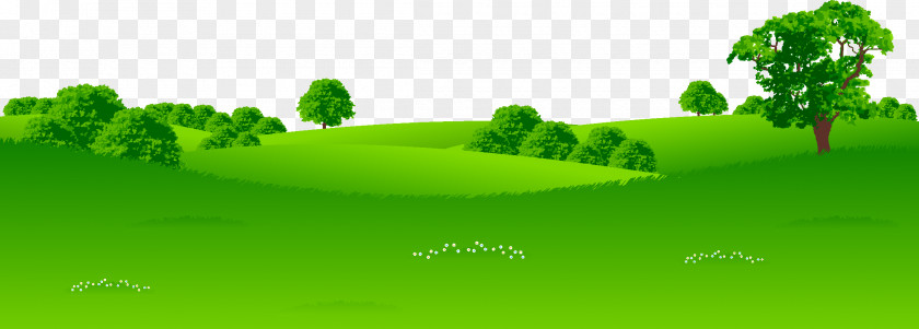 Grass Lawn Landscape Stock Photography Illustration PNG