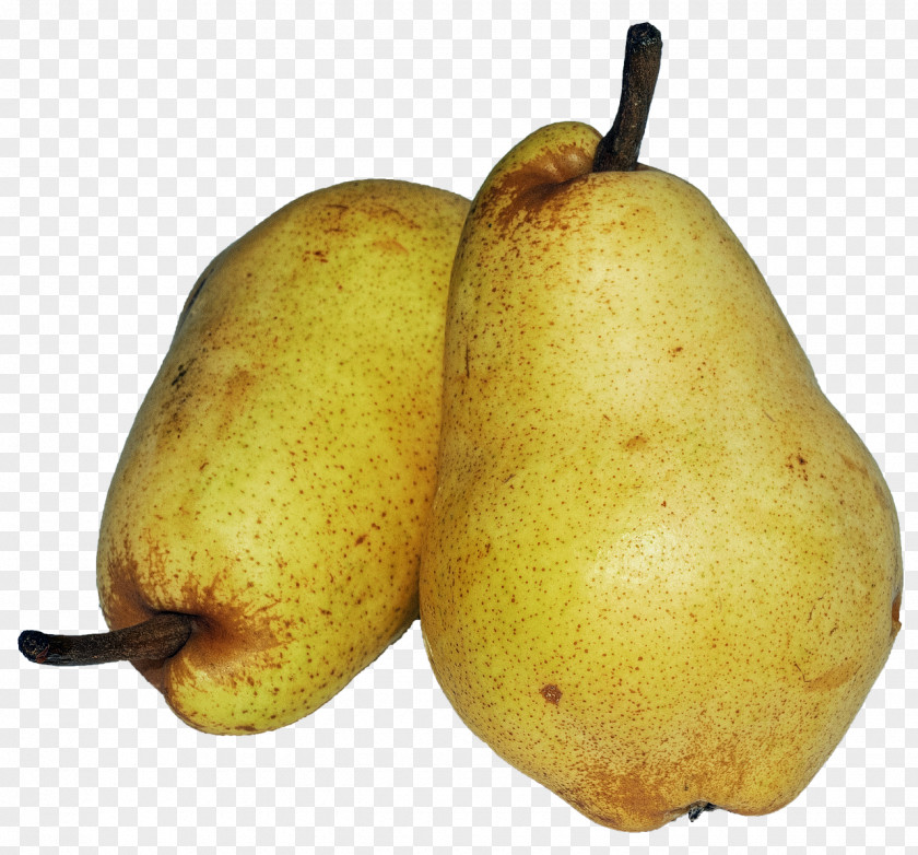 Pear Fruit Rakia Williams Food PNG