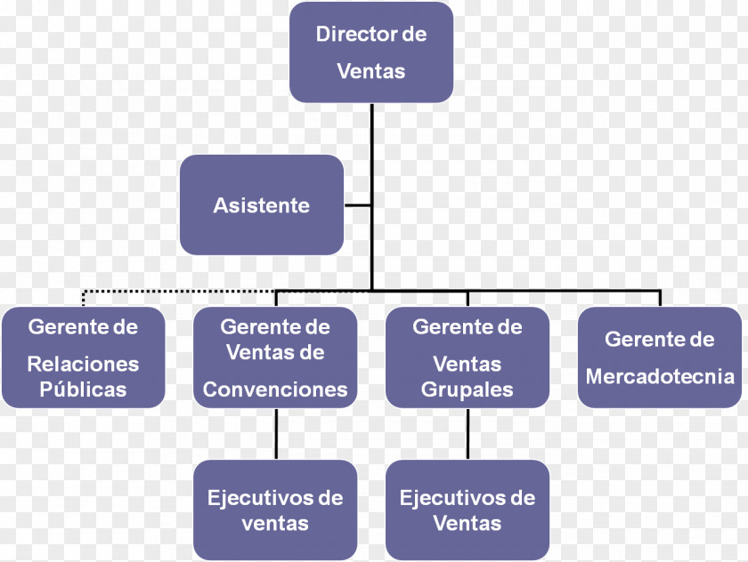 Hotel Organizational Chart Empresa Benta Public Relations PNG