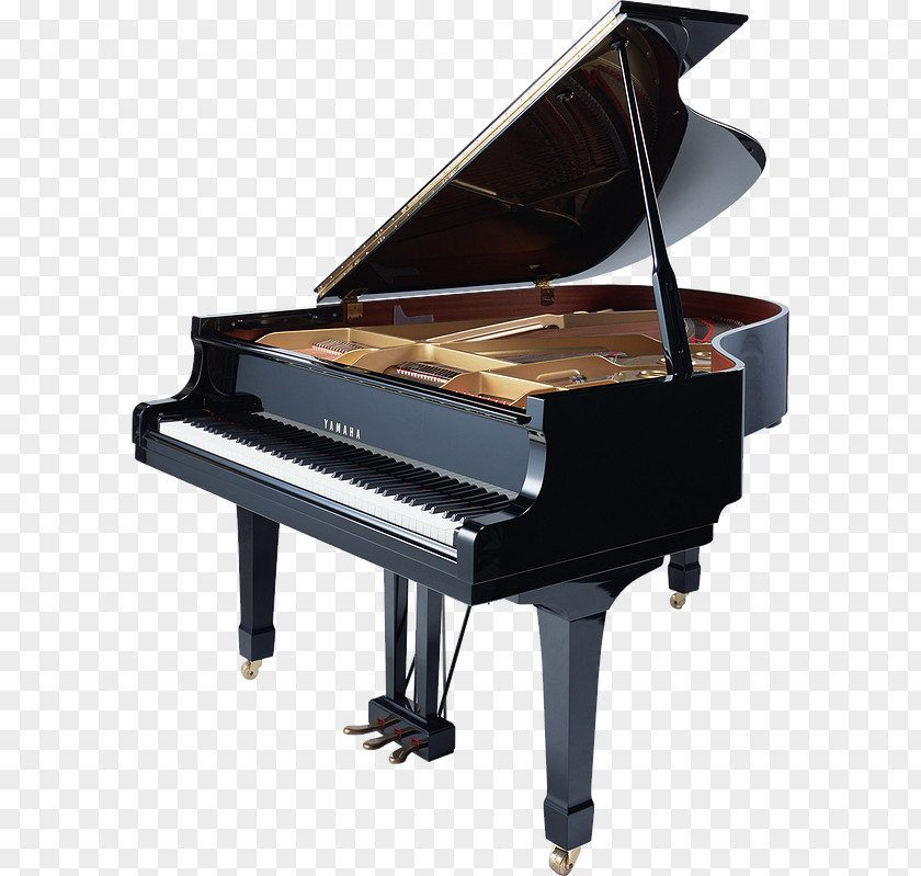 Piano Royalty-free Disklavier Musical Instruments PNG