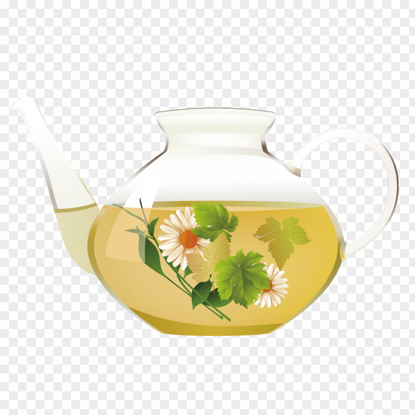 Delicious Tea Green White Chrysanthemum Clip Art PNG