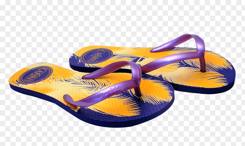 Design Flip-flops Slipper Shoe PNG