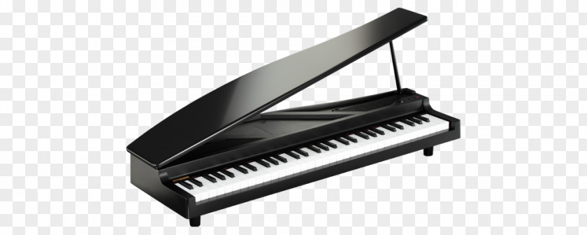 Digital Piano MicroKORG Musical Instruments PNG