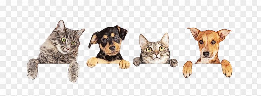 Fawn Working Dog And Cat PNG