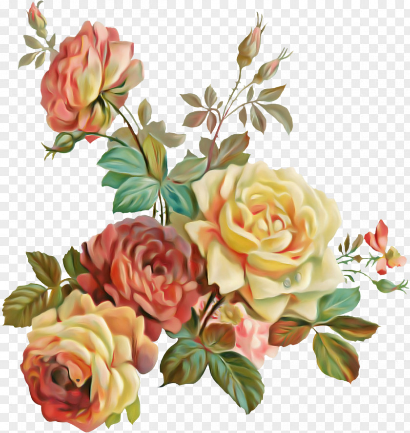 Garden Roses PNG