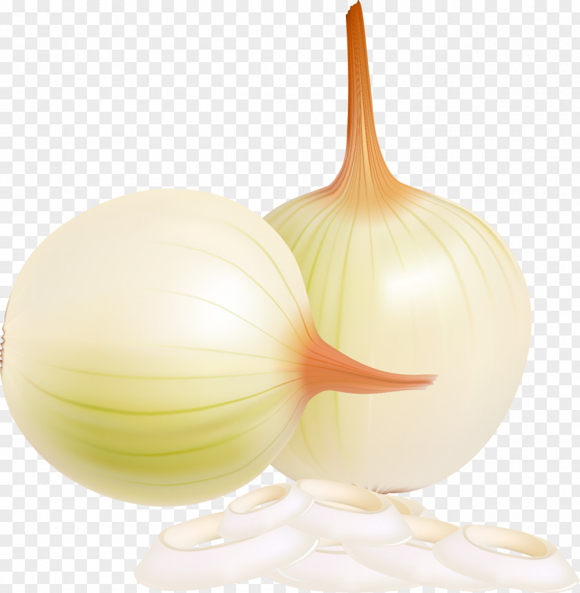 Onion Royalty-free PNG