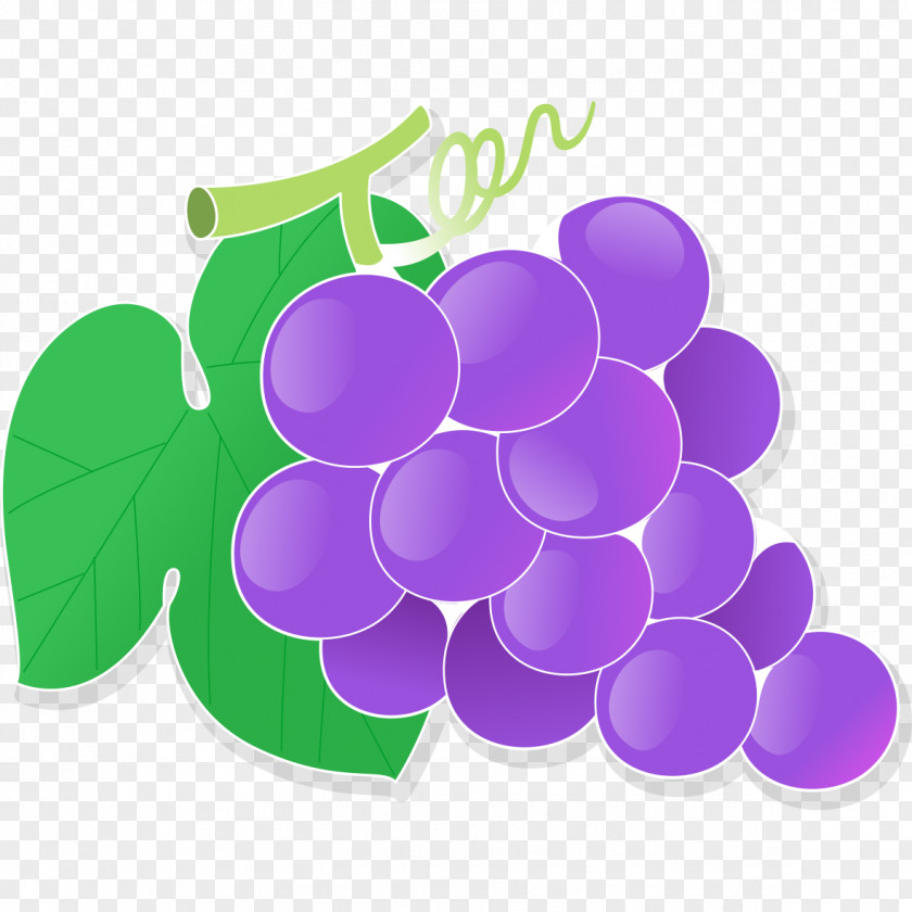 Purple Grapes Cartoon Grape Drawing PNG