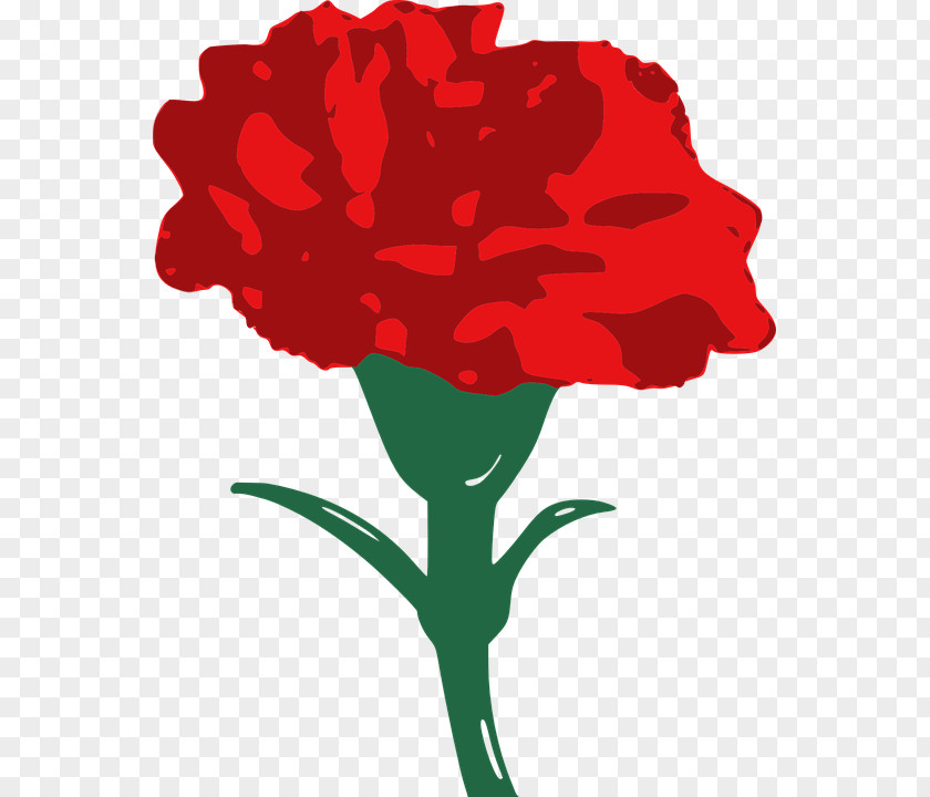 Red Carnation Drawing Clip Art PNG