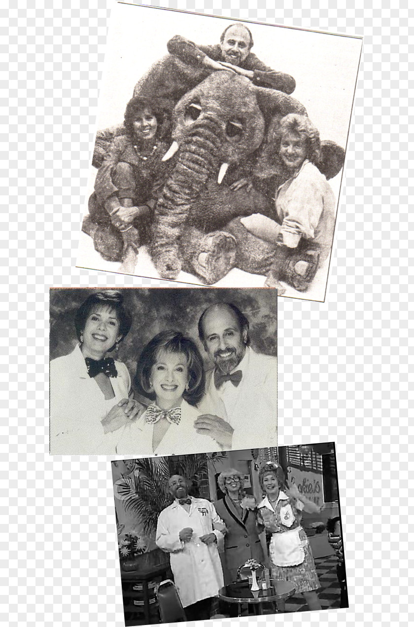 Sharon, Lois & Bram Skinnamarink One Elephant, Deux Éléphants Friends Forever Great Big Hits PNG