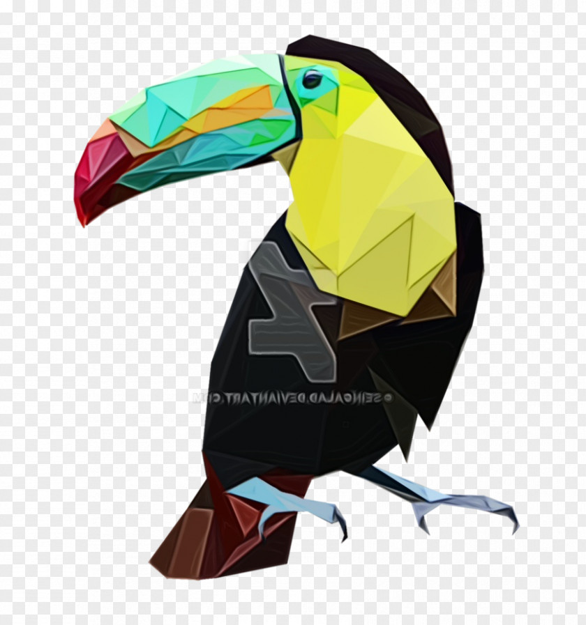Toucan Beak Product Design PNG