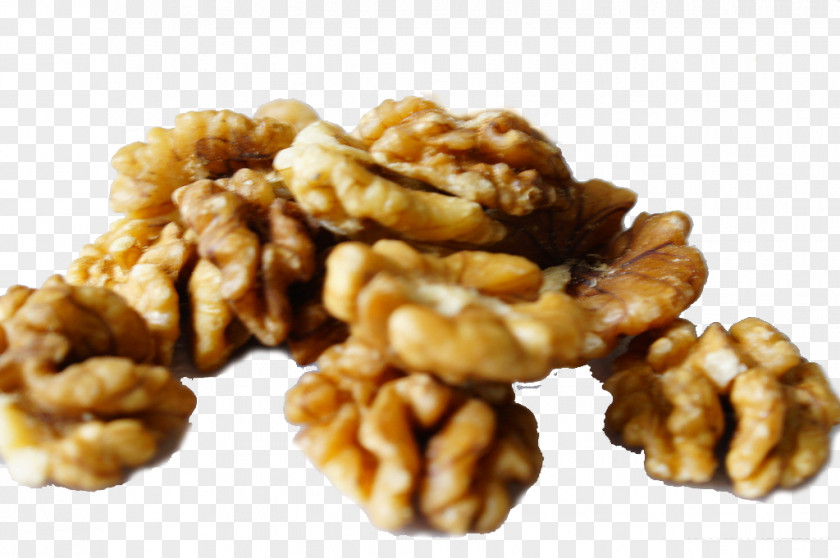 Walnut Nucule Shenkui Food Eating PNG