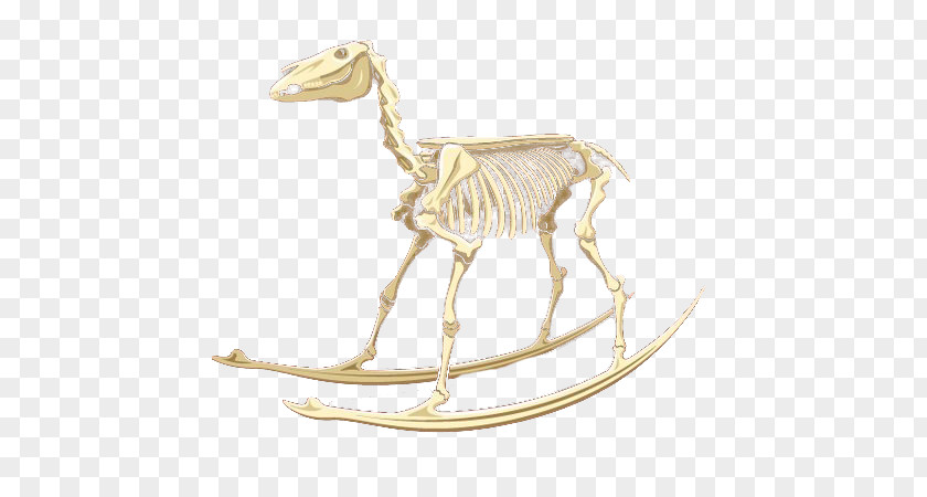 Animal Bones Giraffe Skeleton Horse Bone PNG