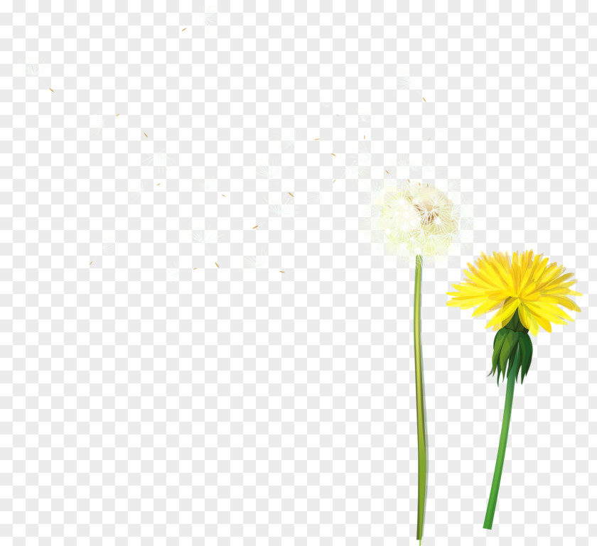 Dandelion Download Icon PNG