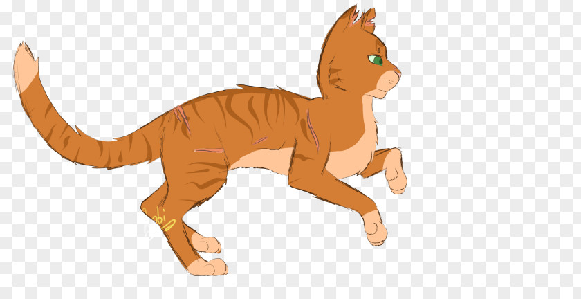 Firestar Cat Canidae Horse Dog Mammal PNG