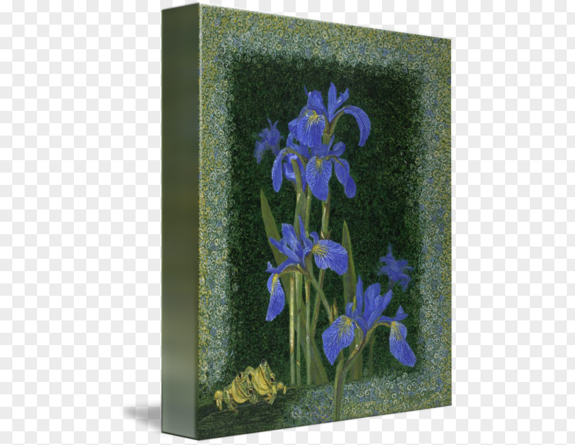 Frog Irises Bellflower Family Gallery Wrap Art Printmaking PNG