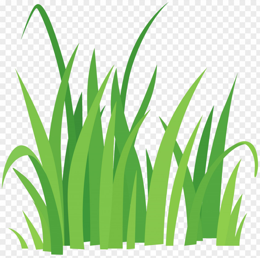 Grass Clip Art Vector Graphics Royalty-free Illustration Image PNG