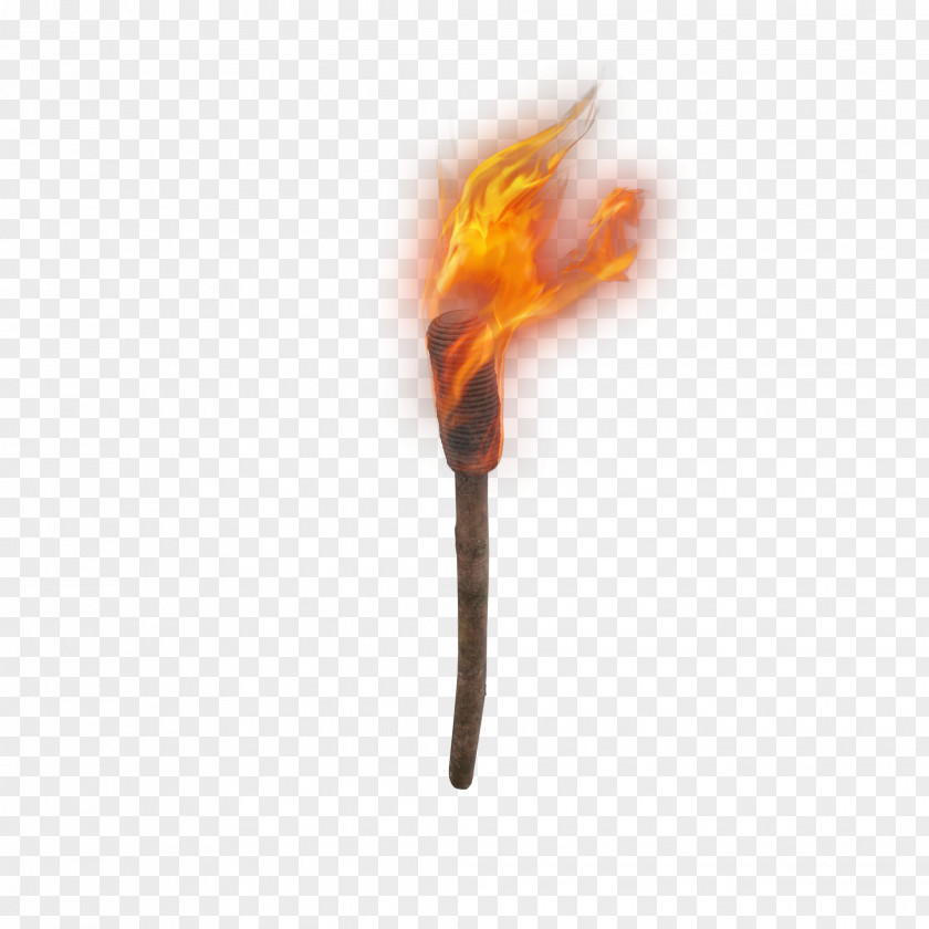 Human Torch Image Fire PNG