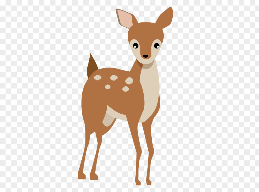 Tail Wildlife Deer Fawn Roe Snout PNG