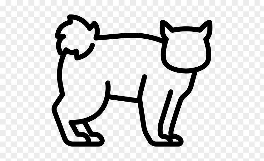 Cat Felidae Clip Art PNG