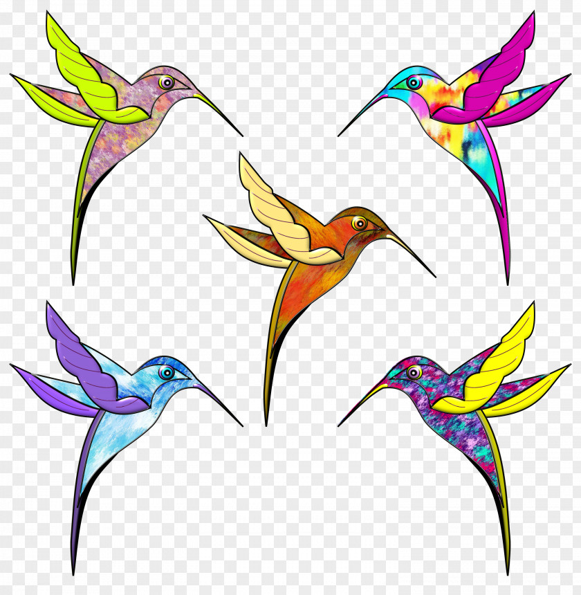 Colibri Paint Hummingbird Drawing Color Beak Clip Art PNG