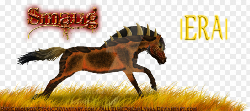 Dragon Smaug Mustang Stallion Colt Bridle Pack Animal PNG