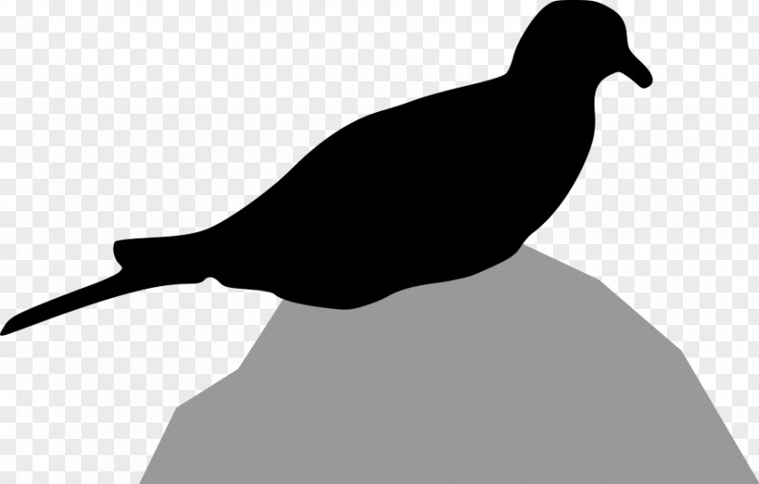 Free Dove Clipart Columbidae Bird Mourning Silhouette Clip Art PNG