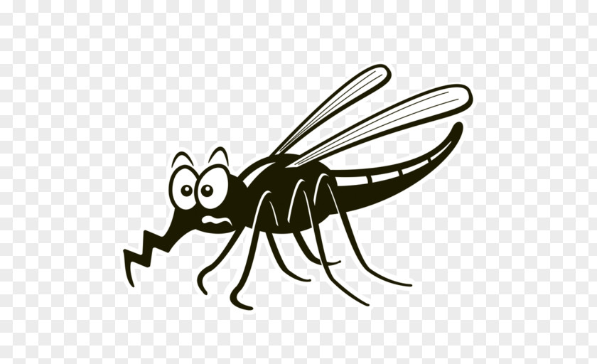 Insect Line Art Pollinator Cartoon Clip PNG