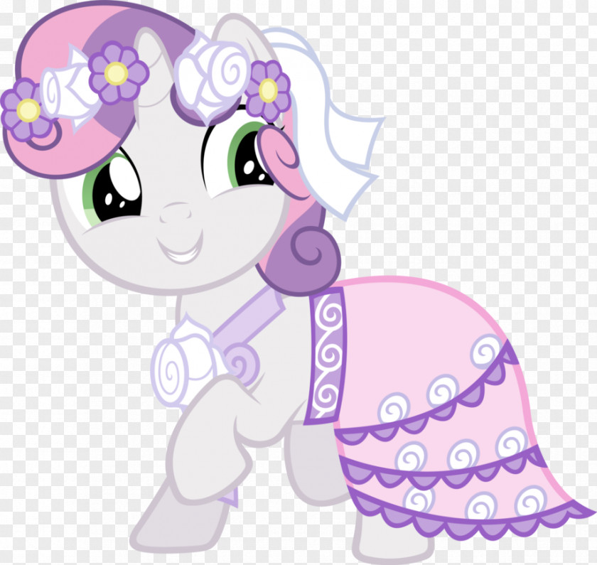 My Little Pony Sweetie Belle Rarity Twilight Sparkle Rainbow Dash PNG