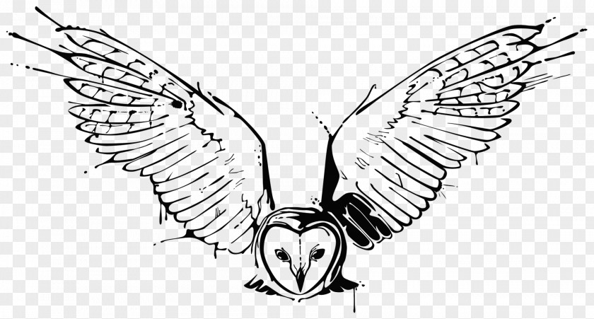 Owl Tattoo Drawing Sketch PNG