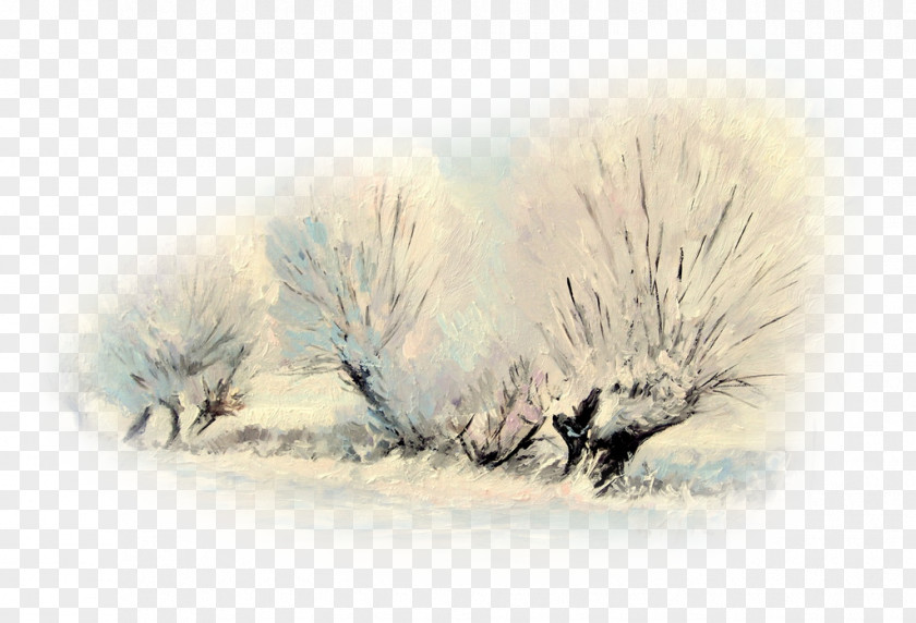 Painting Watercolor Desktop Wallpaper Winter PNG