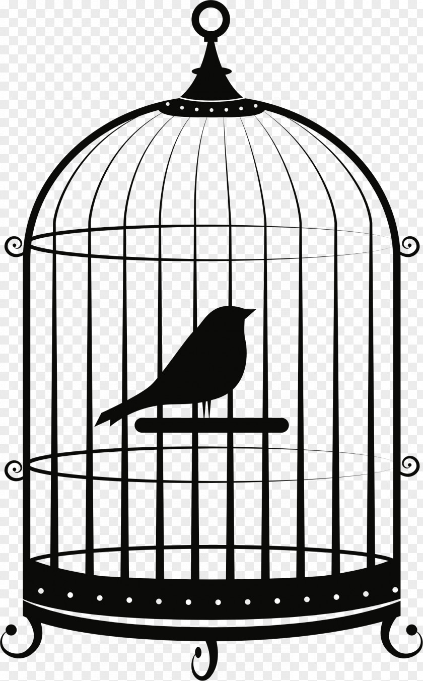 Bird Birdcage Parrot Clip Art PNG