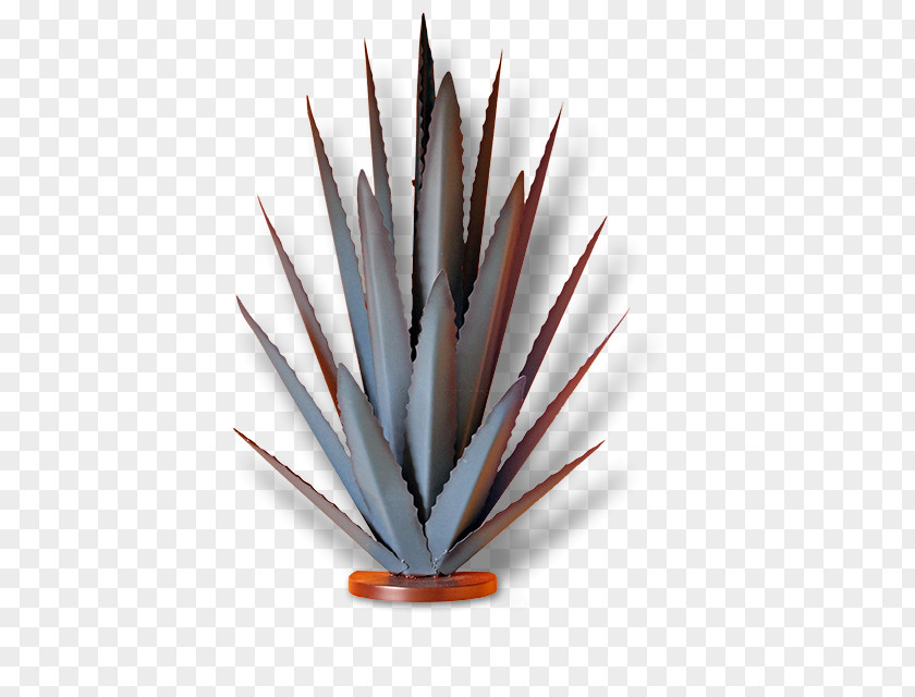 Blue Agave Azul Mexican Cuisine Tequila Jalisco PNG