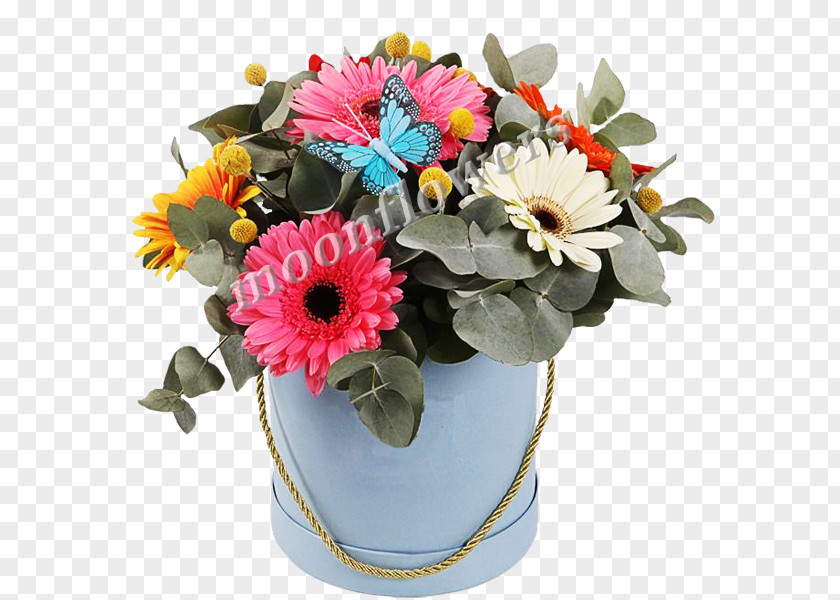 Box Transvaal Daisy Flower Bouquet Online Shopping PNG