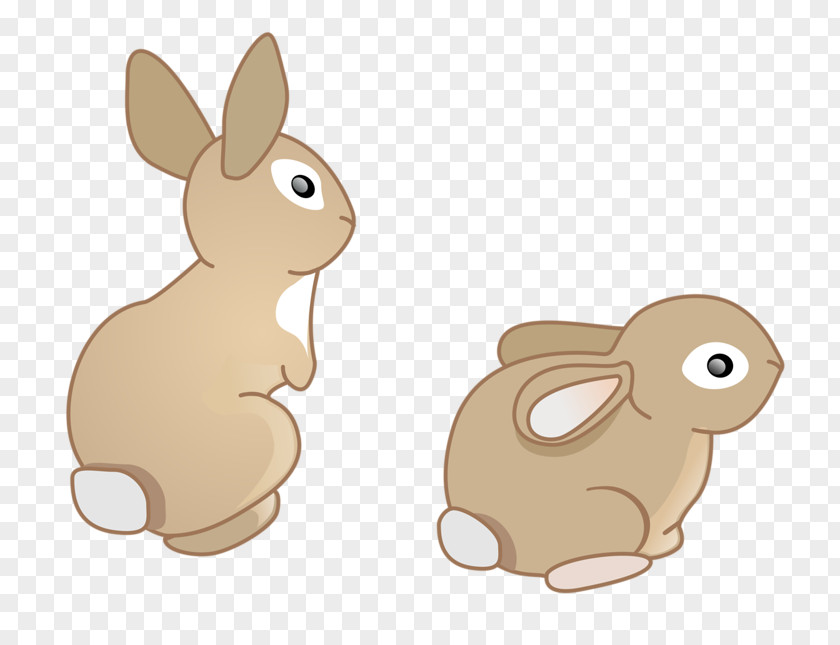 Cartoon Bunny Domestic Rabbit European Hare PNG